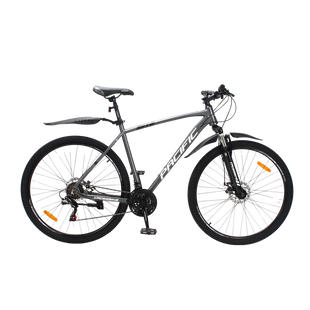 Велосипед Crossbike Pacific 2025 29" 21" Сірий [29СTA-005646] купити
