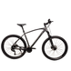 Велосипед Cronus FANTOM 29" 21" Сірий [29CRN-006066]