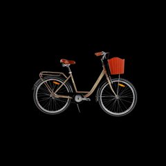 Велосипед Titan Valencia 2021 26" 18" Коричневий [26TWCT21-004727] купити